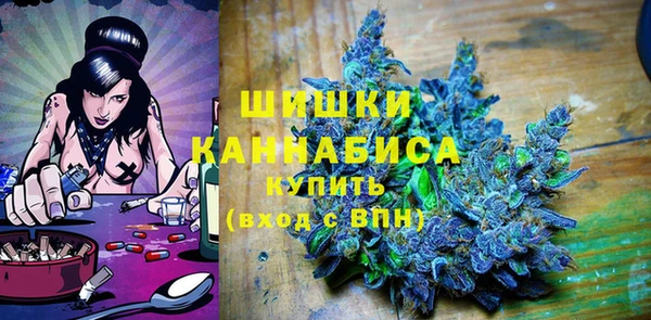 прущие грибы Алексеевка